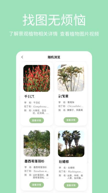 下载凯时app