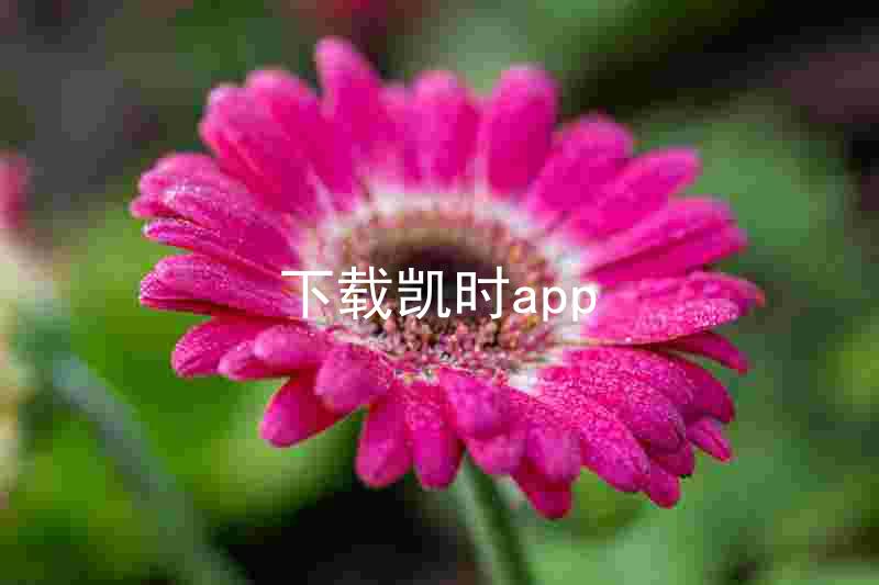 下载凯时app